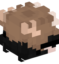 Minecraft head — People