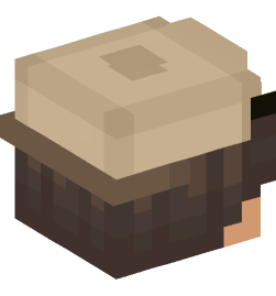 Minecraft head — People