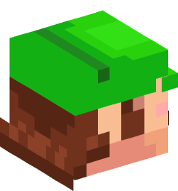 Minecraft head — People