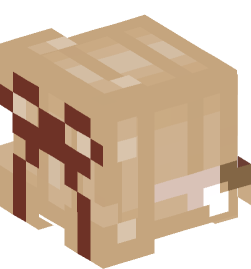 Minecraft head — People