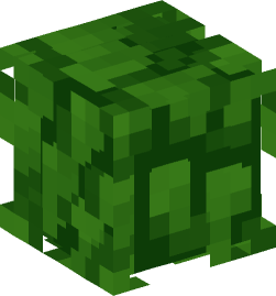 Minecraft head — Plants