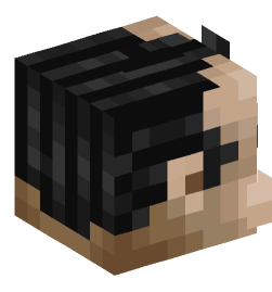 Minecraft head — People