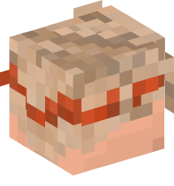 Minecraft head — People