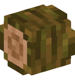 Minecraft head — Blocks