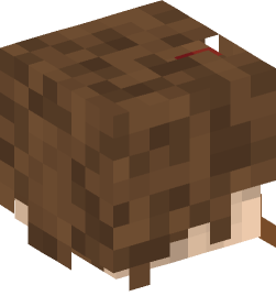 Minecraft head — People