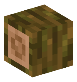 Minecraft head — Blocks