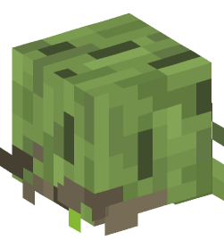 Minecraft head — Creatures