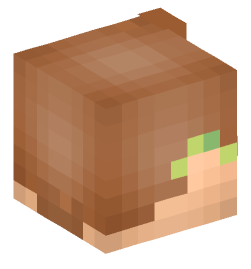 Minecraft head — People