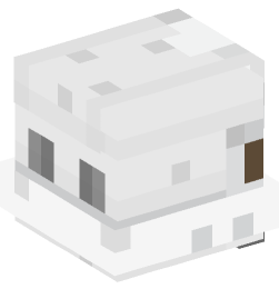 Minecraft head — People