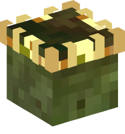Minecraft head — Creatures