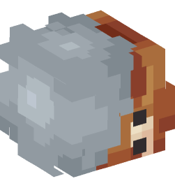 Minecraft head — People