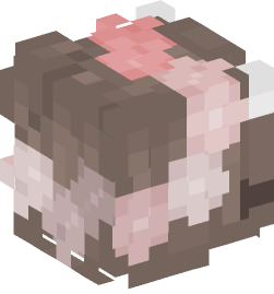 Minecraft head — Creatures