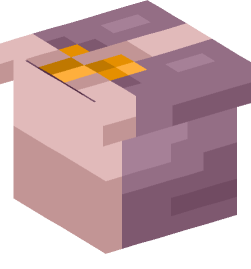 Minecraft head — Decor