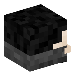 Minecraft head — Decor