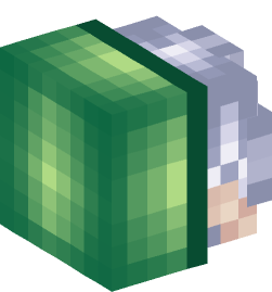 Minecraft head — People