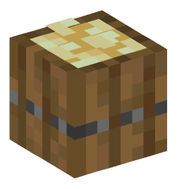 Minecraft head — Decor