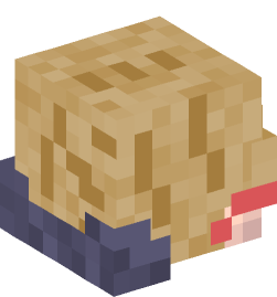 Minecraft head — People