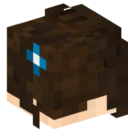 Minecraft head — People