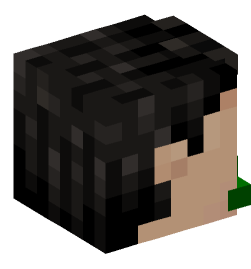 Minecraft head — People