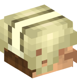 Minecraft head — People