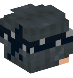 Minecraft head — People