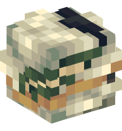 Minecraft head — People