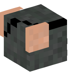 Minecraft head — Animals