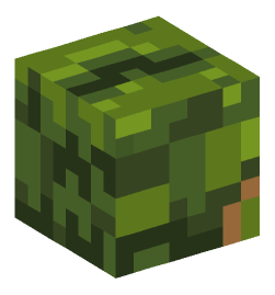 Minecraft head — Creatures