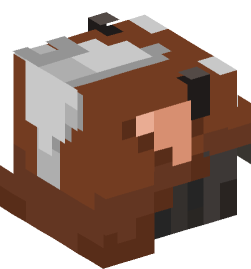 Minecraft head — People