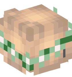 Minecraft head — People