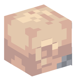 Minecraft head — People