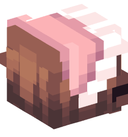 Minecraft head — People