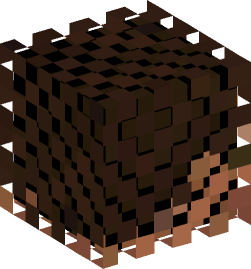 Minecraft head — Miscellaneous