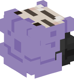 Minecraft head — People