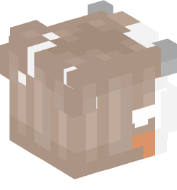 Minecraft head — People