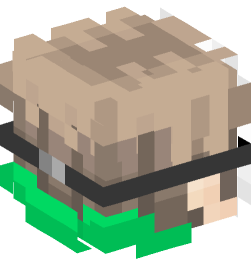 Minecraft head — People