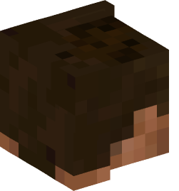 Minecraft head — Miscellaneous