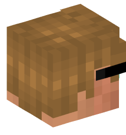 Minecraft head — People