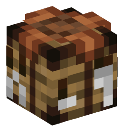 Minecraft head — Decor