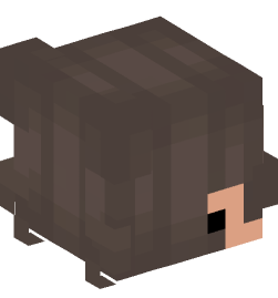 Minecraft head — People