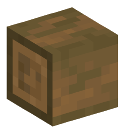 Minecraft head — Blocks