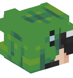 Minecraft head — People