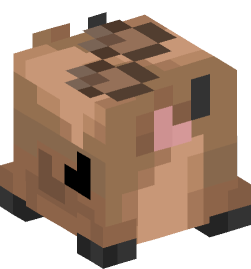 Minecraft head — Decor