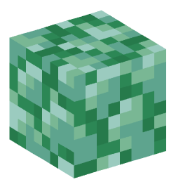 Minecraft head — Blocks