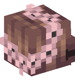 Minecraft head — People