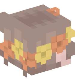 Minecraft head — People