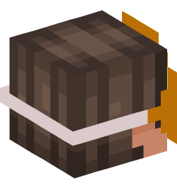 Minecraft head — People