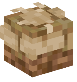 Minecraft head — Decor