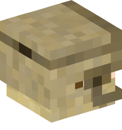 Minecraft head — People