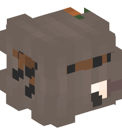 Minecraft head — People